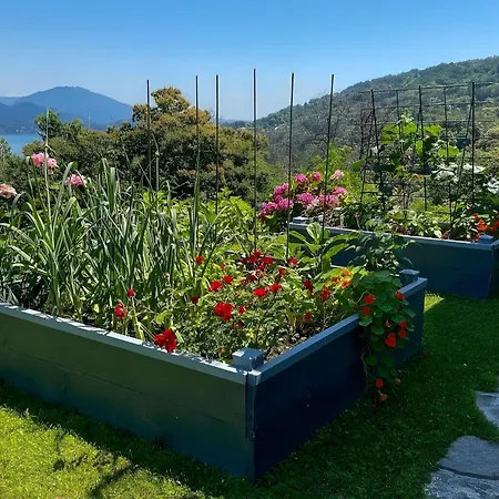 Villa Villa Alessia - 4 Bed Villa With Lake Maggiore View Stresa
