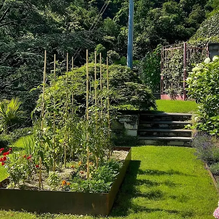 Villa Villa Alessia - 4 Bed Villa With Lake Maggiore View *